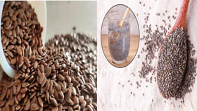 డాక్టర్ అవసరమే ఉండదు.. మీ శరీరంలోని చెడుకొవ్వును తరిమికొట్టే..