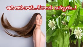 నల్లటి నాగుపాములాంటి జడ కావాలంటే ఈ ఒక్కటి చాలు..