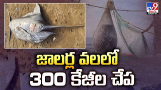 Tollywood: ‘హీరోగా చిరంజీవి.. అప్పుడు రూ. 4 కోట్లు పెట్టి మూవీ అవసరమా అన్నారు..’