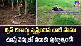 గిన్నిస్ రికార్డు సృష్టించిన భారీ పాము