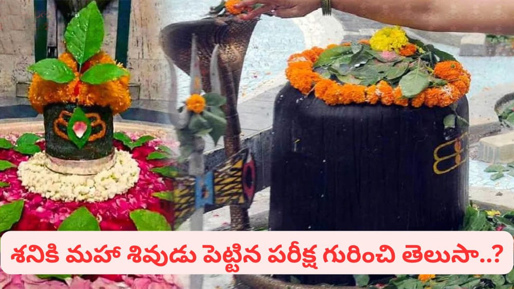 శివుడికి బిల్వ పత్రాలంటే ఎందుకంత ప్రీతి? బిల్వ పూజతో శని దోష నివారణ రహస్యం ఇదే