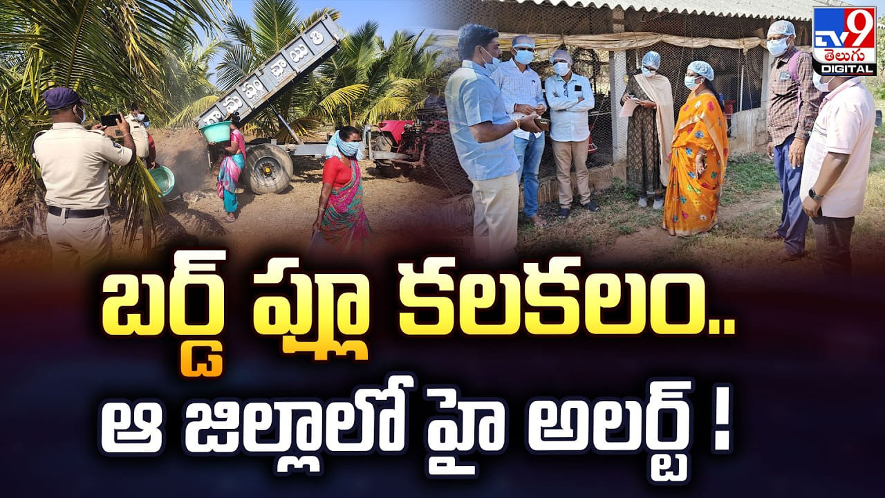 బర్డ్ ఫ్లూ కలకలం.. ఆ జిల్లాలో హై అలర్ట్