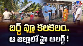 బర్డ్ ఫ్లూ కలకలం.. ఆ జిల్లాలో హై అలర్ట్
