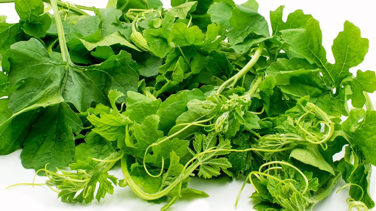 మధుమేహం: కాకర ఆకుల్లో ఉండే కొన్ని పదార్దాలు ఇన్సులిన్ లాగా పనిచేసి బ్లడ్ లో  గ్లూకోజ్లెవెల్స్ ను అదుపు చేస్తాయి. కాబట్టి, రోజుకు కొన్ని కాకర ఆకుల జ్యూస్ ను తాగడం మంచిది.  