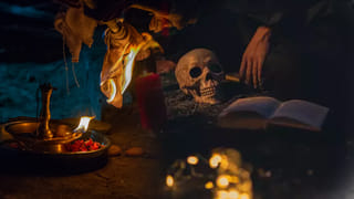 మెట్రో పిల్లర్‌పై చిక్కుకున్న పిల్లి.. ఎలా కాపాడారంటే..