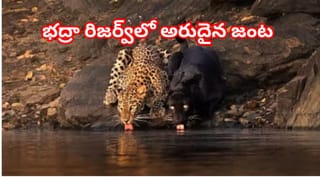 Viral Video: షాకింగ్ విజువల్స్.. క్షణాల్లో భూమిలోకి కుంగిన రోడ్డు.. ఇదిగో ఆ భయానక దృశ్యం..