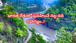 ఇంటికి కాదు, సూర్యుడికి అద్దె.. సన్‌లైట్ కోసమే రూ.80 వేల కిరాయి వసూలు చేస్తున్న ఫ్లాట్ ఓనర్!