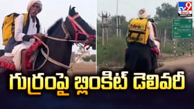 గుర్రంపై బ్లింకిట్ డెలివరీ.. ఇదెక్కడి మాస్ రా మావా..