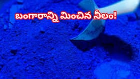 బంగారాన్ని మించిన నీలం! ప్రపంచంలో అత్యంత ఖరీదైన రంగు రహస్యం
