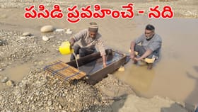 దొరికితే జాక్‌పాటే?.. అక్కడి నదిలో ఎక్కడ చూసిన బంగారం