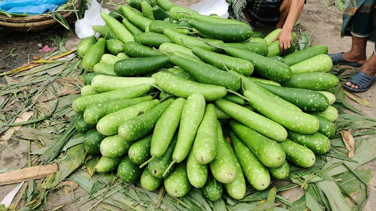 లో బీపీ ఉన్న వారు కూడా దీనిని దూరం పెడితేనే మంచిది. ఎందుకంటే, ఇది  రక్తపోటును తగ్గిస్తుంది. ఇక దీనిని తింటే లేని పోనీ సమస్యలు వస్తాయి. అలసట వంటి సమస్యలు వస్తాయి. 
