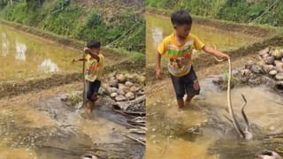 Viral Video: అక్క అంటే పిచ్చి ప్రేమ.. ఆమె కారు వెనకే 70 కి.మీ. సైకిల్ తొక్కుతూ వెళ్లిన తమ్ముడు..!