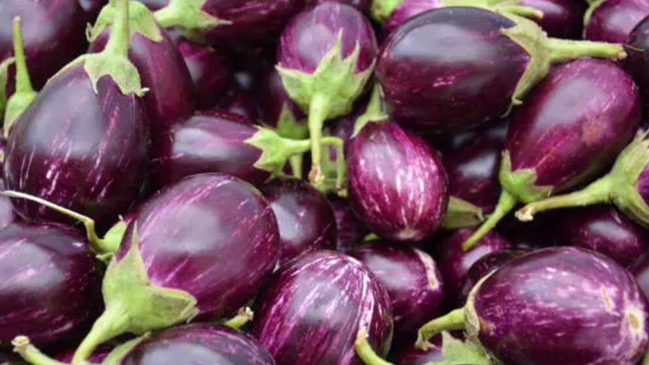 (NOTE: ఇందులోని అంశాలు కేవలం అవగాహన కోసం మాత్రమే. నిపుణులు అందించిన సమాచారం ప్రకారం ఇక్కడ తెలియజేయడమైనది. ఆరోగ్యరీత్యా ఎలాంటి సమస్యలు ఉన్నానేరుగా వైద్య నిపుణులను సంప్రదించడం మంచిది)
