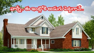 Viral Video: ఈ వీడియో చూస్తే స్టన్ అవ్వాల్సిందే.. అడవి రాజుకే సవాల్ విసిరిన ఆడసింహం.. కారణం తెలిస్తే షాకే..