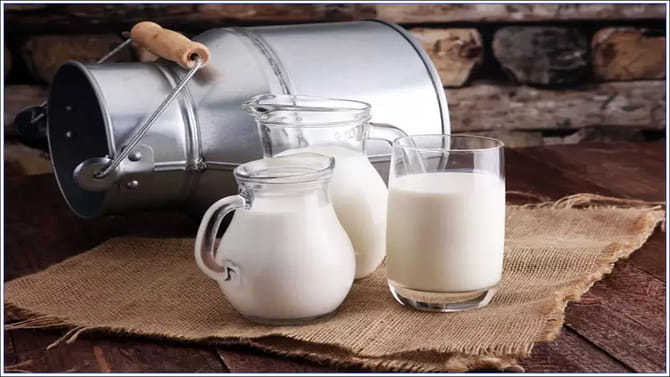 బర్రె పాలు Vs ఆవు పాలు.. పిల్లలకు ఏవి మంచివి..?