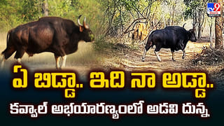 బిచ్చగాడి ఆస్తి చూసి అంతా షాక్‌ !! ఇనప్పెట్టె విప్పితే నోట్ల కట్టలు..