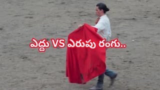 Vastu Tips: కరివేపాకు మొక్కతో ఆరోగ్యమే కాదు ఐశ్వరం కూడా..! సరైన దిశలో నాటితే సంపద రెట్టింపు..