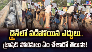 Ambati Rambabu : మాజీ మంత్రి అంబటి రాంబాబుకు మరో బిగ్‌షాక్.. ఆ కేసులో 14 రోజుల రిమాండ్!