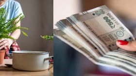 ఈ మొక్కలు పెంచడం ద్వారా లక్షల్లో ఆదాయం.. బెస్ట్ బిజినెస్‌ ఐడియా!