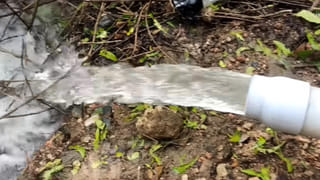 Andhra Pradesh: పాలే కాలకూటం విషంలా మారాయా? అస్వస్థతకు కలుషిత నీళ్లే కారణమా?