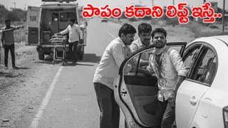 సందర్శకులతో సరదా ఉండే ఆ తెల్ల బెబ్బులికి ఏమైంది..! మరణానికి కారణాలేంటి..!