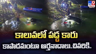 గాజు సీసాలో తిరుమల శ్రీవారి ఆలయ గోపురం