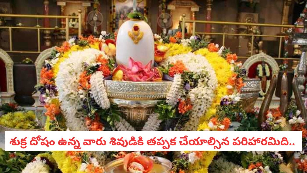 Shukra Dosham: జాతకంలో శుక్ర దోషమా?.. శివయ్యకు ఈ ఒక్కటీ సమర్పిస్తే అడ్డంకులన్నీ మటాష్..