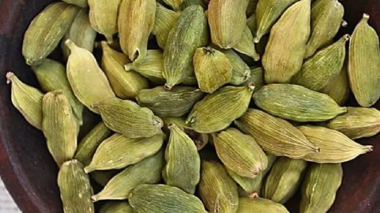 మంచి ఆరోగ్యానికి యాలకులు తినడం చాలా ముఖ్యం. యాలకులు తినడం వల్ల అనేక ఆరోగ్య సమస్యలు నయమవుతాయి. ముఖ్యంగా, భోజనం తర్వాత యాలకులు తినడం వల్ల ఎక్కువ ప్రయోజనకరంగా ఉంటుందని ఆరోగ్య నిపుణులు చెబుతున్నారు. 
