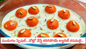 పండుగల స్పెషల్.. నోట్లో వేస్తే కరిగిపోయే క్యారెట్ రసమలై..