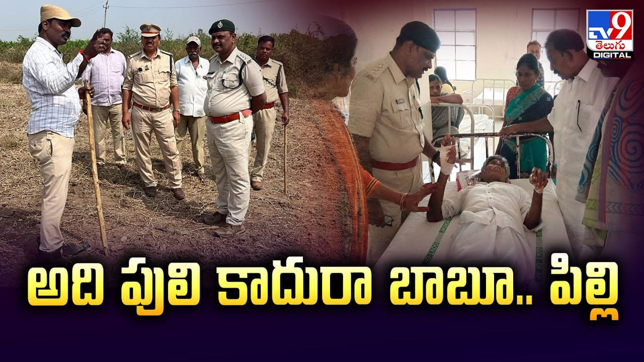 అది పులి కాదురా బాబూ.. పిల్లి రా అయ్యా..