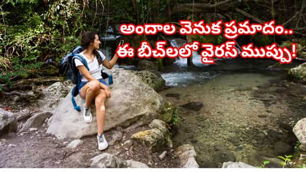 హాలీడే ప్లాన్ చేస్తున్నారా? ఈ బీచ్లలో వైరస్ ముప్పు! ఆరోగ్య శాఖ అత్యవసర హెచ్చరిక