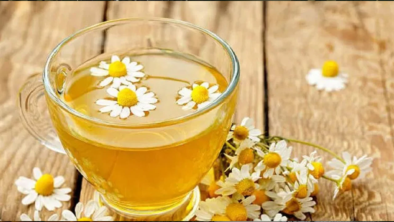 చమోమిలే టీ జీర్ణవ్యవస్థను మెరుగుపరుస్తుంది. ఇది కడుపు సమస్యలను కూడా నయం చేస్తుంది. ఈ టీని క్రమం తప్పకుండా తీసుకుంటే శరీరంలో చక్కెర స్థాయి నియంత్రణలో ఉంటుందని నిపుణులు చెబుతున్నారు.