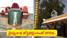 వ్యాధులను తొలగించే ‘మరకత లింగం’.. హైదరాబాద్ శివారులోనే ఈ శివాలయం