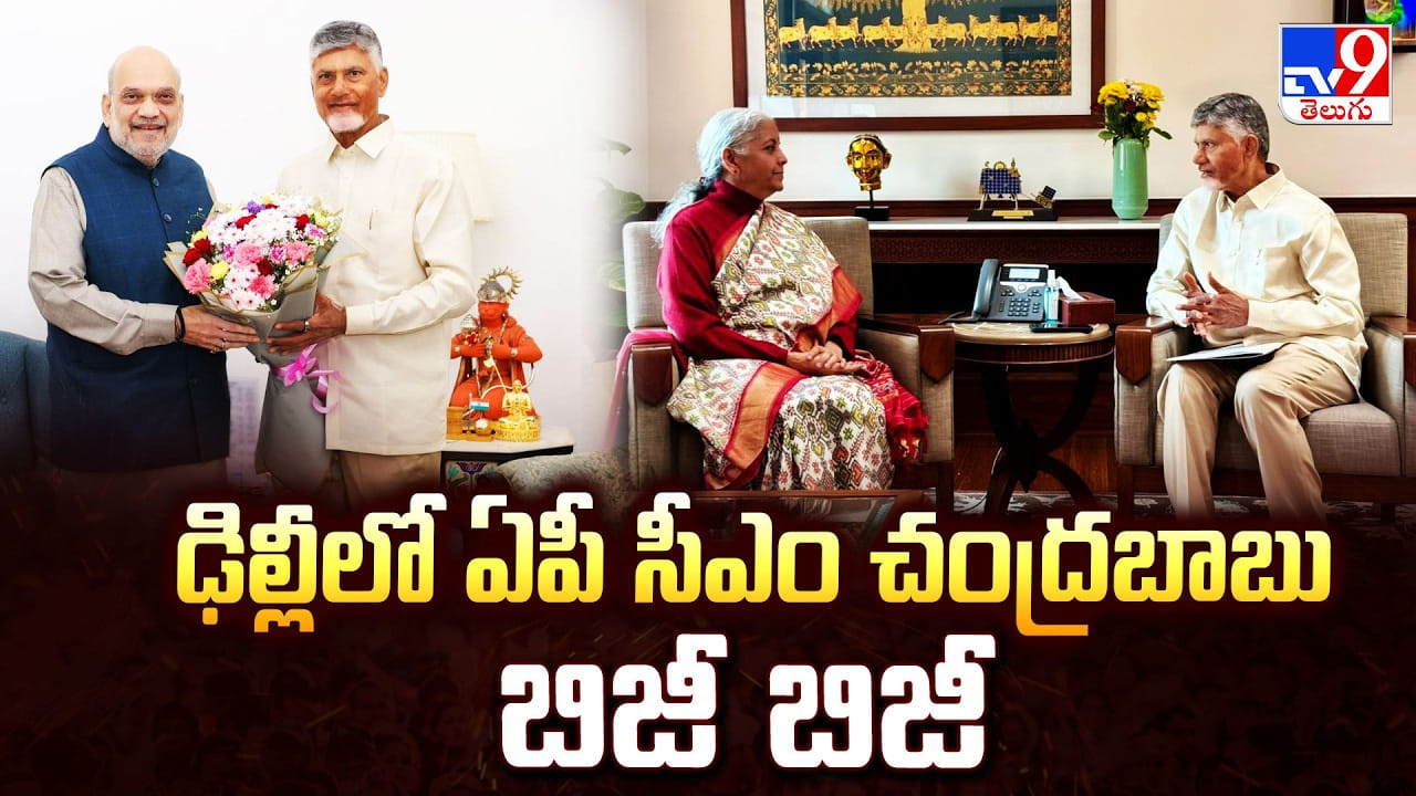 CM Chandrababu Naidu: ఢిల్లీలో.. ఏపీ సీఎం చంద్రబాబు బిజీ బిజీ