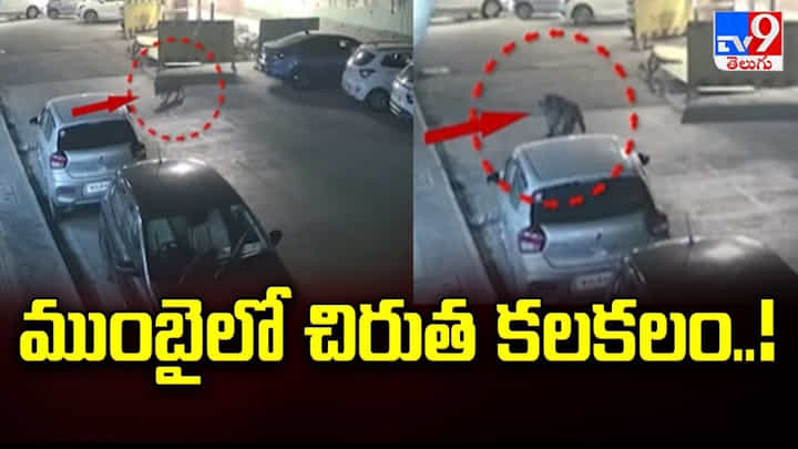 Mumbai: ముంబైలో చిరుత కలకలం Mumbai: ముంబైలో చిరుత కలకలం