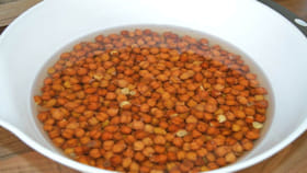 ప్రతి రోజు ఉదయాన్నే నానబెట్టిన శనగలు తింటే.. శరీరంలో జరిగేది ఇదే!