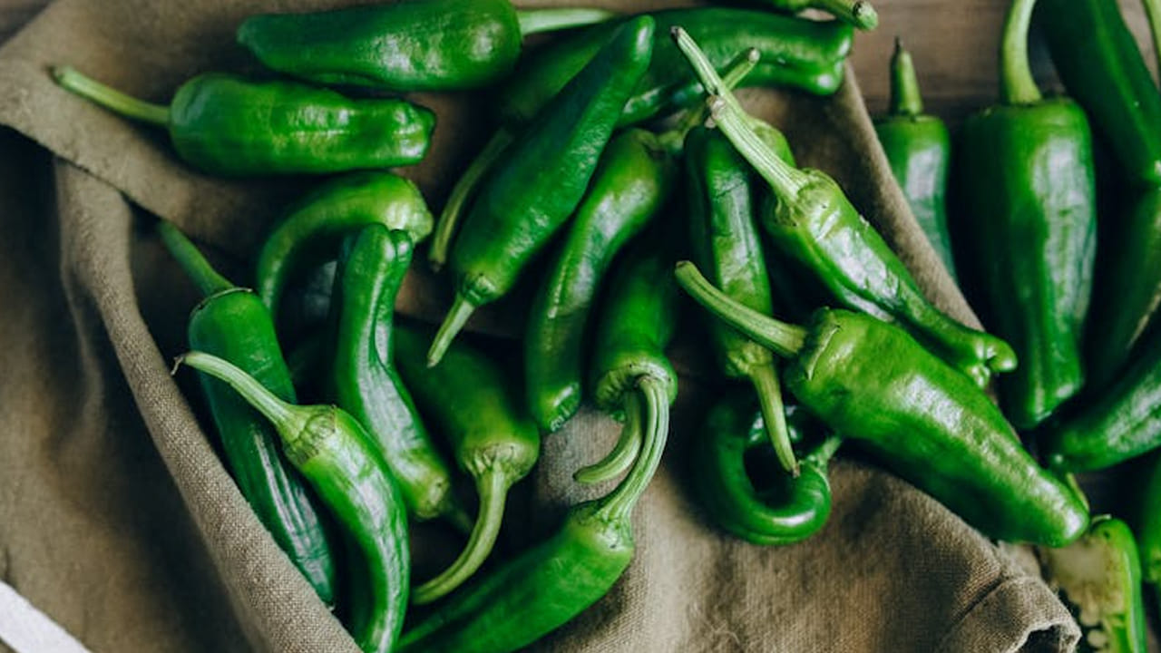 ఈ మధ్య కాలంలో అందరూ ఎవరి పనుల్లో వాళ్లు బిజీగా గడుపుతున్నారు. అయితే, ఇదే సమయంలో సమయానికి ఫుడ్ కూడా సరిగా తినలేకపోతున్నారు. దీని వలన అనేక రకాల అనారోగ్య సమస్యలు వస్తున్నాయి. 
