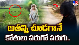 అతన్ని చూడగానే కోతులు పరుగో పరుగు..