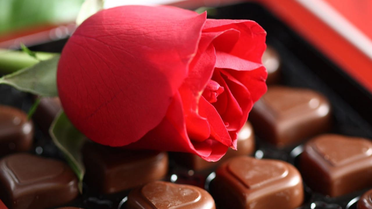 నా జీవితంలో అందమైన రోజులు ఉన్నాయి అంటే, అవి నీతో  ఉన్న క్షణాలు మాత్రమే.. నీతో గడిపిన ప్రతి క్షణం నాకు చాలా అద్భుతమైనది, విలువైనది, అందుకే నా సంతోషానికి కారణమైన నీకు హ్యాపీ చాక్లెట్ డే.