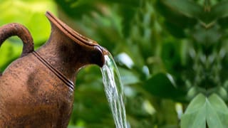 అమ్మాయిలకు చికెన్ మంచిదేనా? అధ్యయనంలో బయటపడ్డ నమ్మలేని నిజాలు