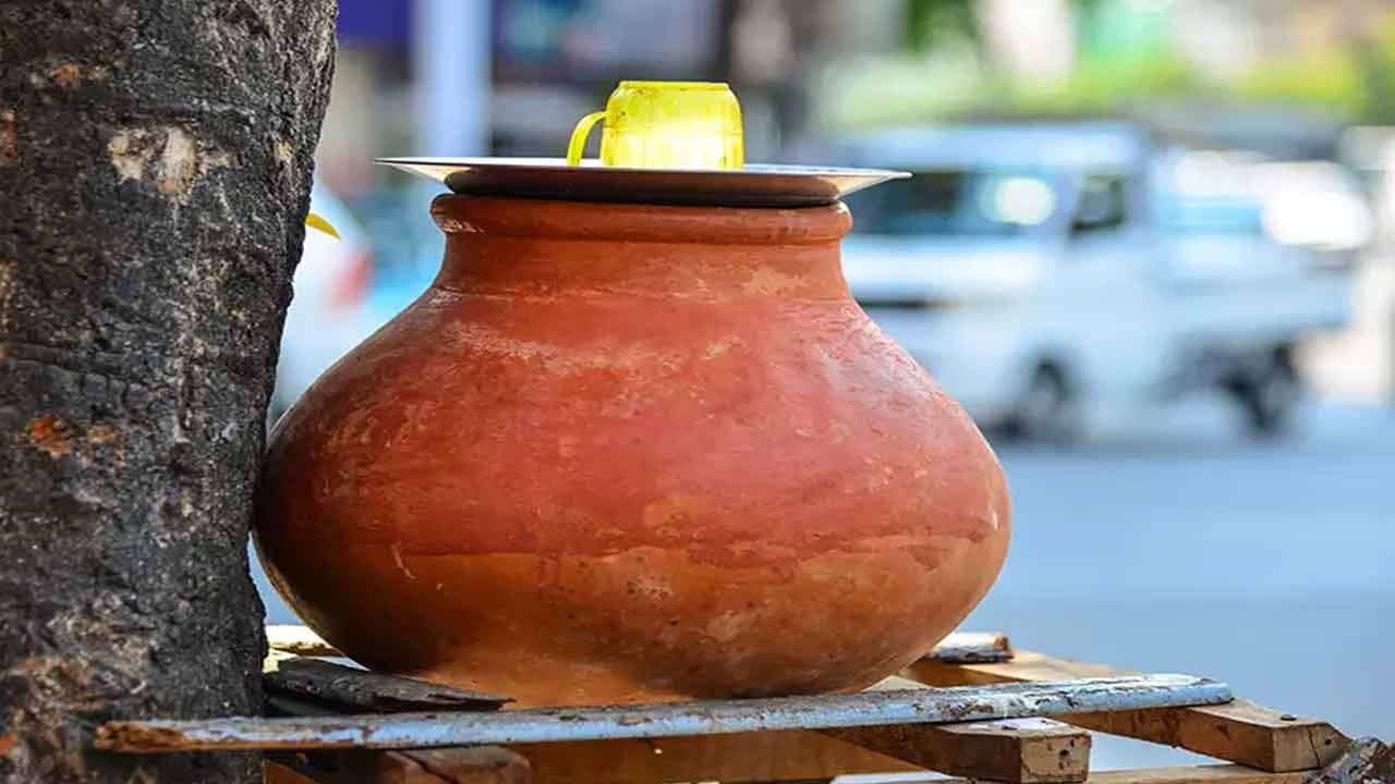 మటి కుండలో ఉంచిన నీళ్లలో సహాజ మినరల్స్, ఎలక్ట్రోలైట్స్ సమృద్ధిగా ఉంటాయి. ఇవి తాగడం వల్ల శరీరానికి మినరల్స్‌, ఎలక్ట్రోలైట్స్‌ అందుతాయి. బాడీ ఎనర్జిటిక్‌గా ఉంటుంది. కుండలో నీరు తాగితే శరీరానికి రోగనిరోధక శక్తి పెరుగుతుంది. జలుబు, దగ్గు, ఆస్తమాతో బాధపడే వాళ్లు కుండ నీళ్లు తాగడం వల్ల.. ఆ సమస్యల నుంచి బయటపడొచ్చు.