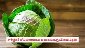 కాలీఫ్లవర్ లోని పురుగులను బయటకు రప్పించే ఈజీ పద్ధతి!