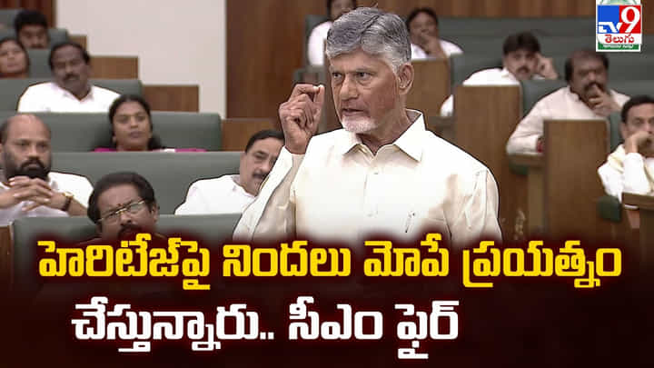 CM Chandrababu: హెరిటేజ్ పై నిందలు మోపే ప్రయత్నం చేస్తున్నారు.. సీఎం ఫైర్ CM Chandrababu: హెరిటేజ్ పై నిందలు మోపే ప్రయత్నం చేస్తున్నారు.. సీఎం ఫైర్