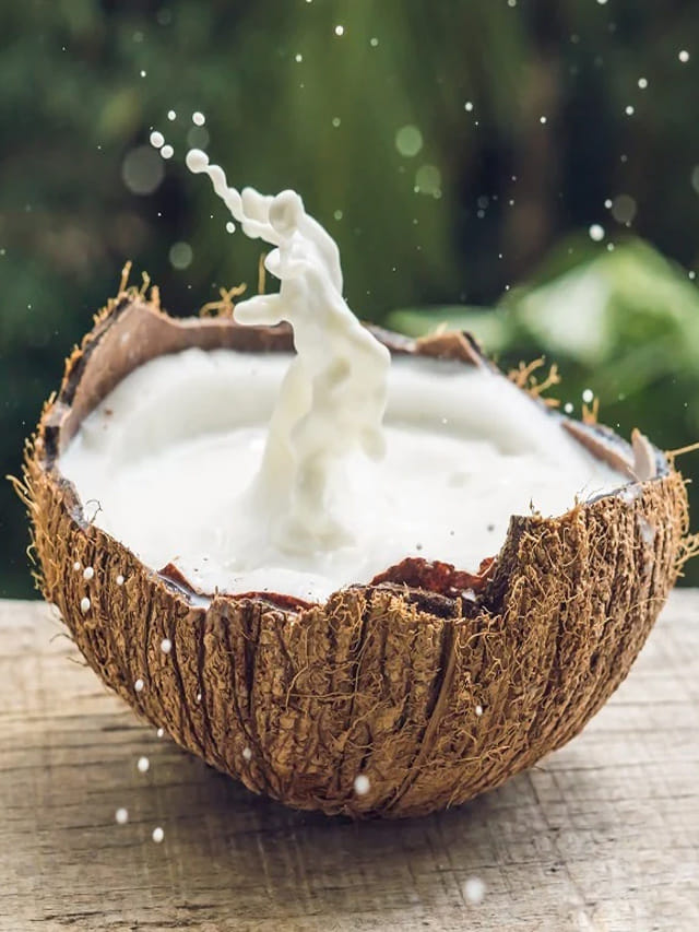 మీరూ రోజూ కొబ్బ‌రిపాలు తాగుతున్నారా..?