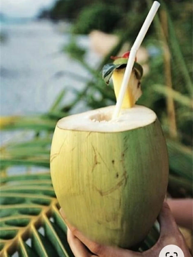 రోజూ ఉదయాన్నే ఖాళీ కడుపుతో కొబ్బరి నీళ్లు తాగితే ఏమవుతుందో తెలుసా?