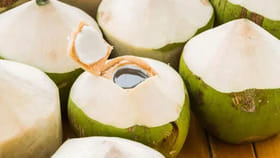 Coconut Water: కొబ్బరికాయలోకి నీరు ఎలా వస్తుందో తెలుసా..?