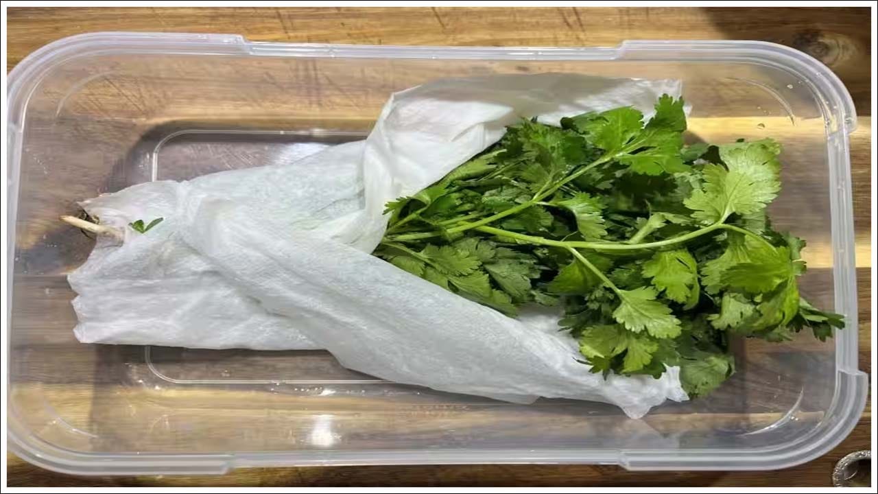 Kitchen Tips: కొత్తిమీర ఇది లేకుండా ఏ వంట పూర్తి కాదు. వంట చేశాక చివరగా కొత్తమీద వేస్తే ఆ రుచే మారిపోతుంది. అందుకే ప్రతి ఒక్కరు కూరల్లో కొత్తిమీర వాడుతుంటారు. అంతేకాదు కొత్తిమీరతో ఎన్నో ఆరోగ్య ప్రయోజనాలు కూడా ఉన్నాయి. అయితే మనం మార్కెట్ నుంచి కొత్త మీరను కొని తెచ్చిన తర్వాత ముందుగా ఫ్రిజ్లో పెడతాము. ఎందుకంటే బయట పెడితే త్వరగా వాడిపోతుంది. అందుకే ఫ్రిజ్లో స్టోర్ చేస్తాము. కానీ ఫ్రిజ్లో పెట్టినా అది వాడిపోవడం, చెడిపోవడం జరుగుతుంది. దీంతో కొత్తిమీర వృధా అవుతుంది. మీరు కొత్తిమీరను ఫ్రిజ్లో పెట్టినా చెడిపోతుంటే ఈ ట్రిక్ వాడి చూడండి. ఎప్పుడు కూడా తాజాగా ఉంటుందని నిపుణులు చెబుతున్నారు.