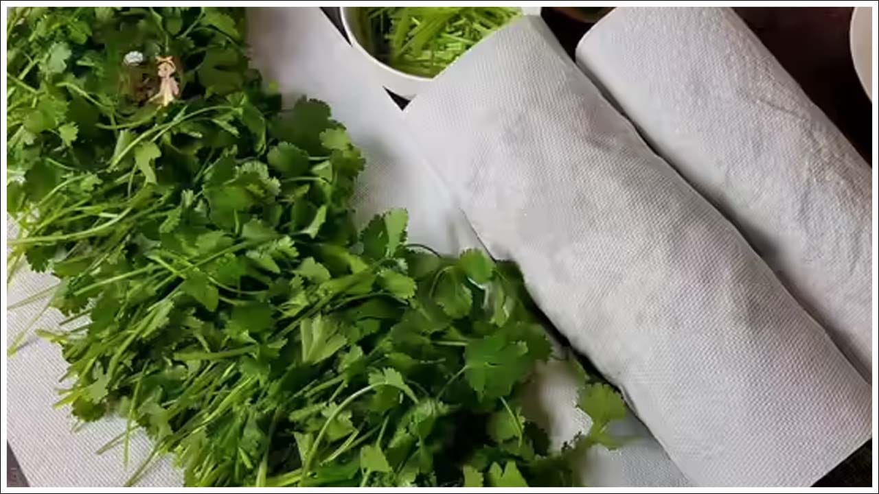 కొత్తిమీర ఎక్కువ కాలం తాజాగా ఉండాలంటే, దుకాణం నుండి కొన్న తర్వాత దాని ఆకులను కత్తెరతో కత్తిరించాలి. తరువాత దానిని నీటిలో నానబెట్టి ఒక గుడ్డలో చుట్టాలి. ఇది చాలా రోజులు తాజాగా ఉంటుంది. కొత్తిమీరను కట్టలుగా కొనే వారు నీటిలో కొద్దిగా వెనిగర్ వేసి చల్లుకోవచ్చు.