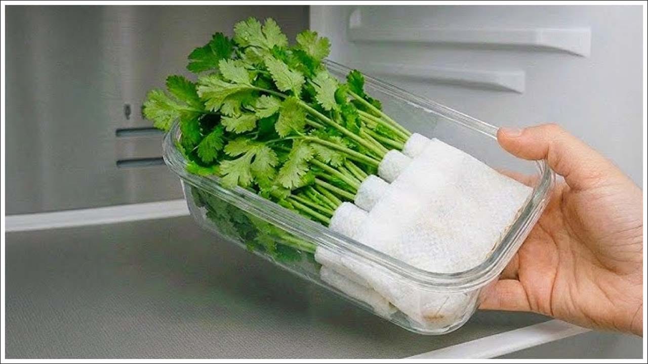 కొత్తిమీరను ఒక గుడ్డలో చుట్టి ఫ్రీజర్‌లో ఉంచడం ద్వారా ఎక్కువ కాలం తాజాగా ఉంచవచ్చు. దీనివల్ల అది త్వరగా చెడిపోకుండా ఉంటుంది. లేకపోతే కొత్తిమీరను ప్లాస్టిక్ సంచిలో చుట్టి ఫ్రీజర్‌లో ఉంచాలి. 