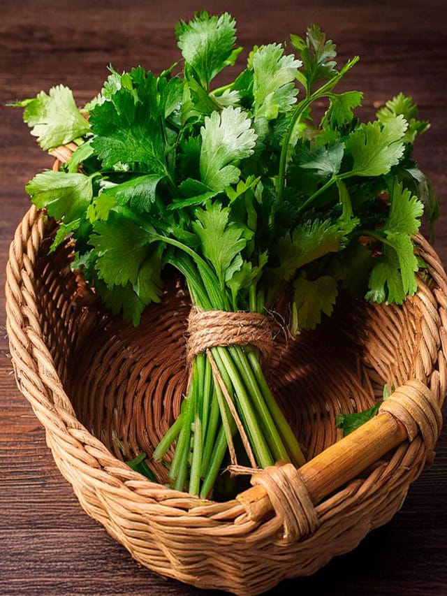 కూరలో కొత్తిమీర‌ వస్తే.. ప‌క్కన ప‌డేయ‌కండి!